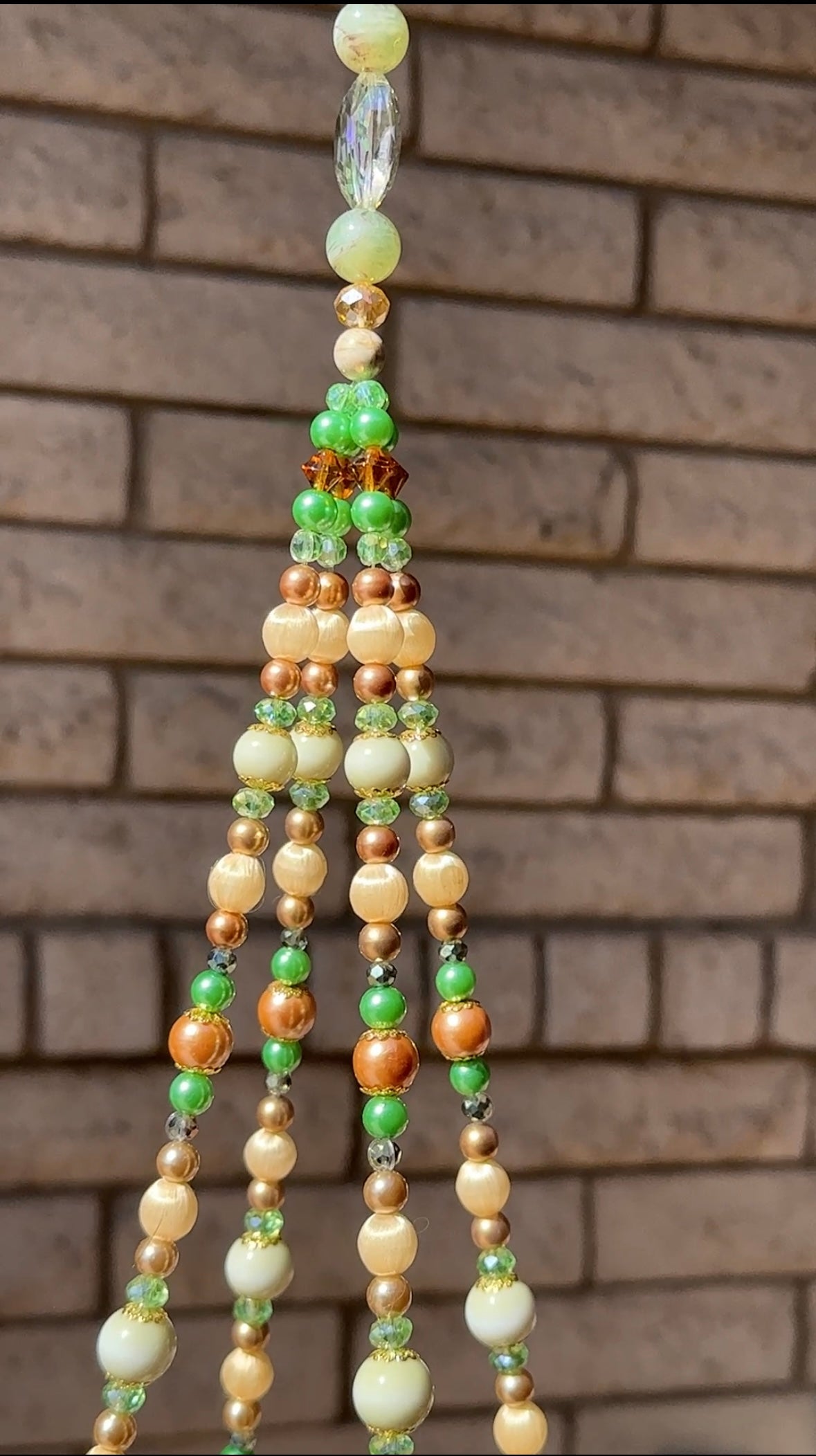 Watching the Leaves Fall