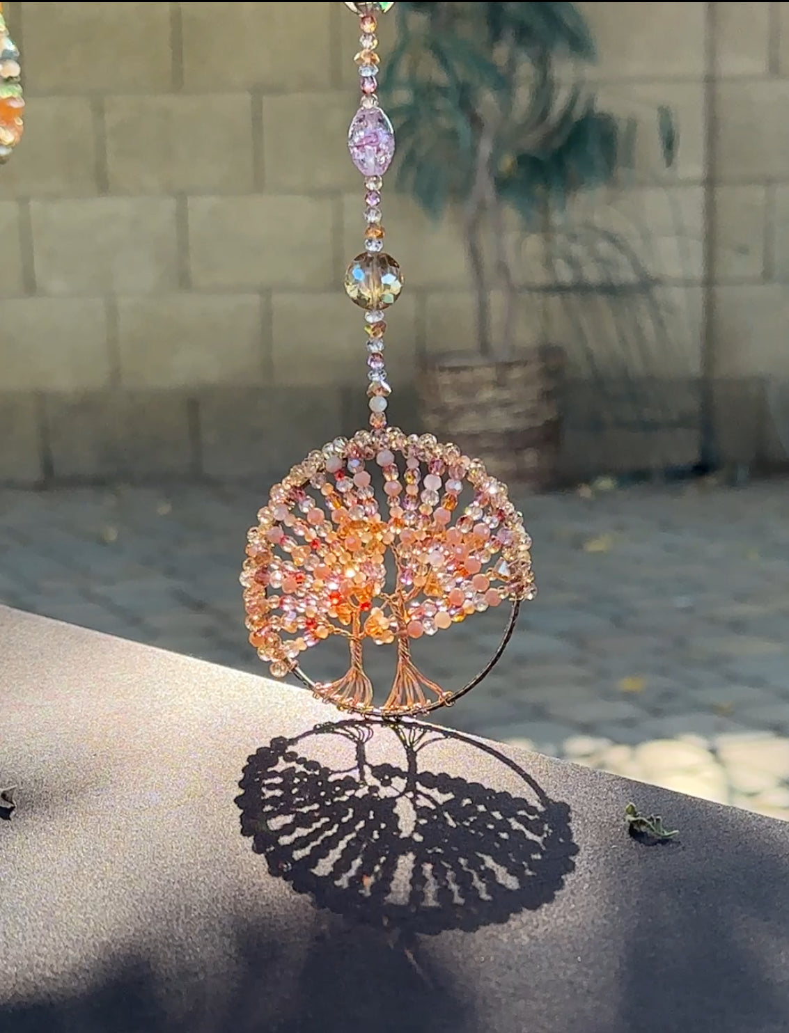 Twisted Sisters-Blended Tree of Life