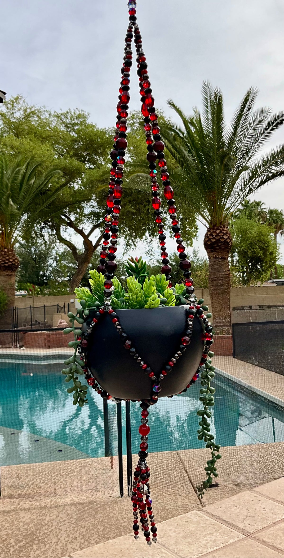 Black Dahlia
