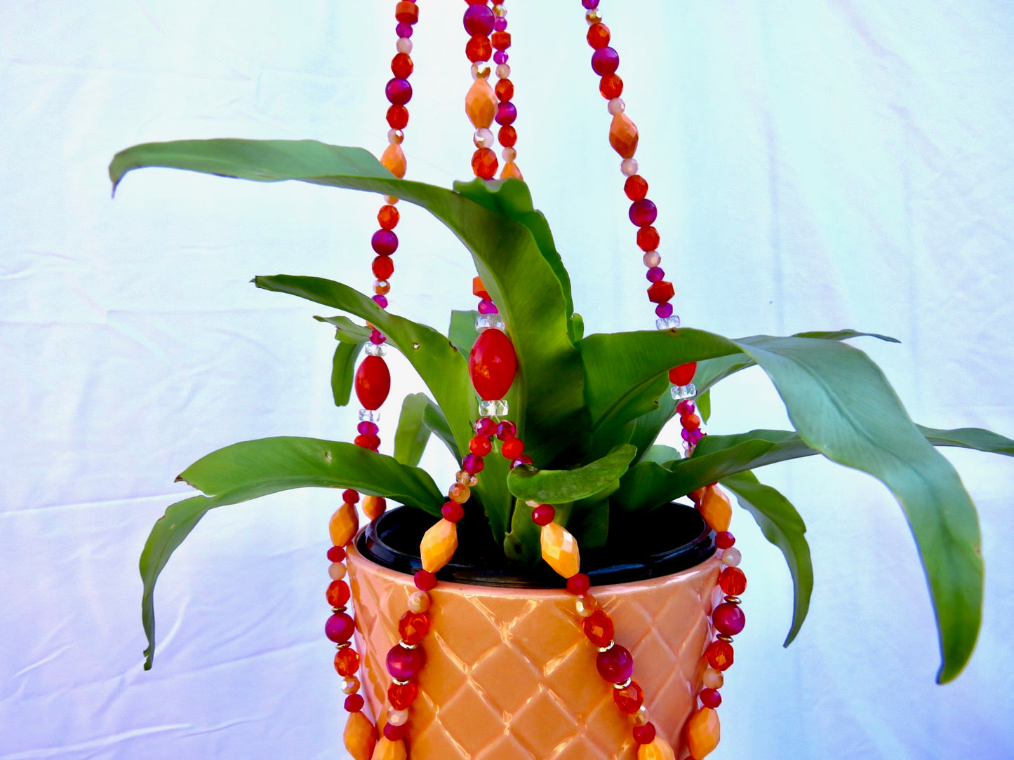 Tropic Like it’s Hott