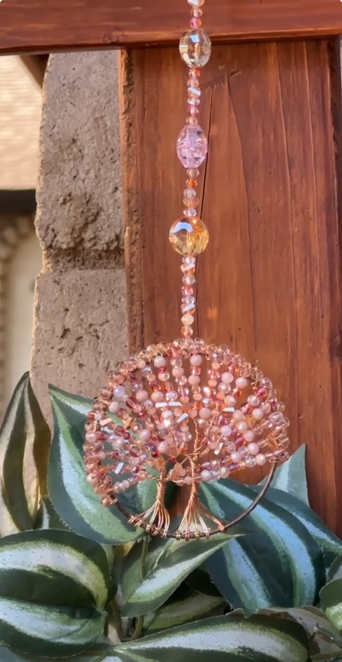 Twisted Sisters-Blended Tree of Life