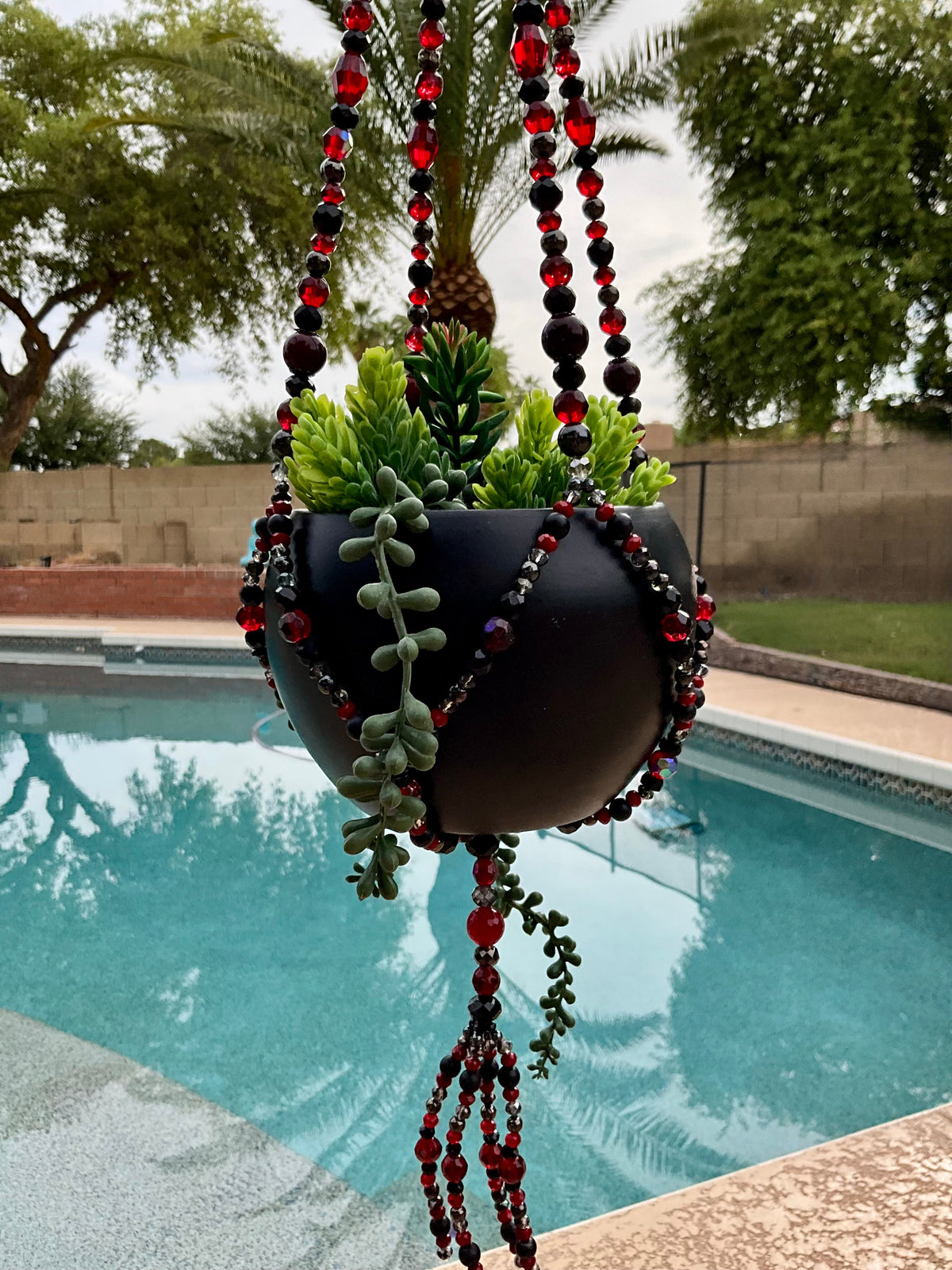 Black Dahlia