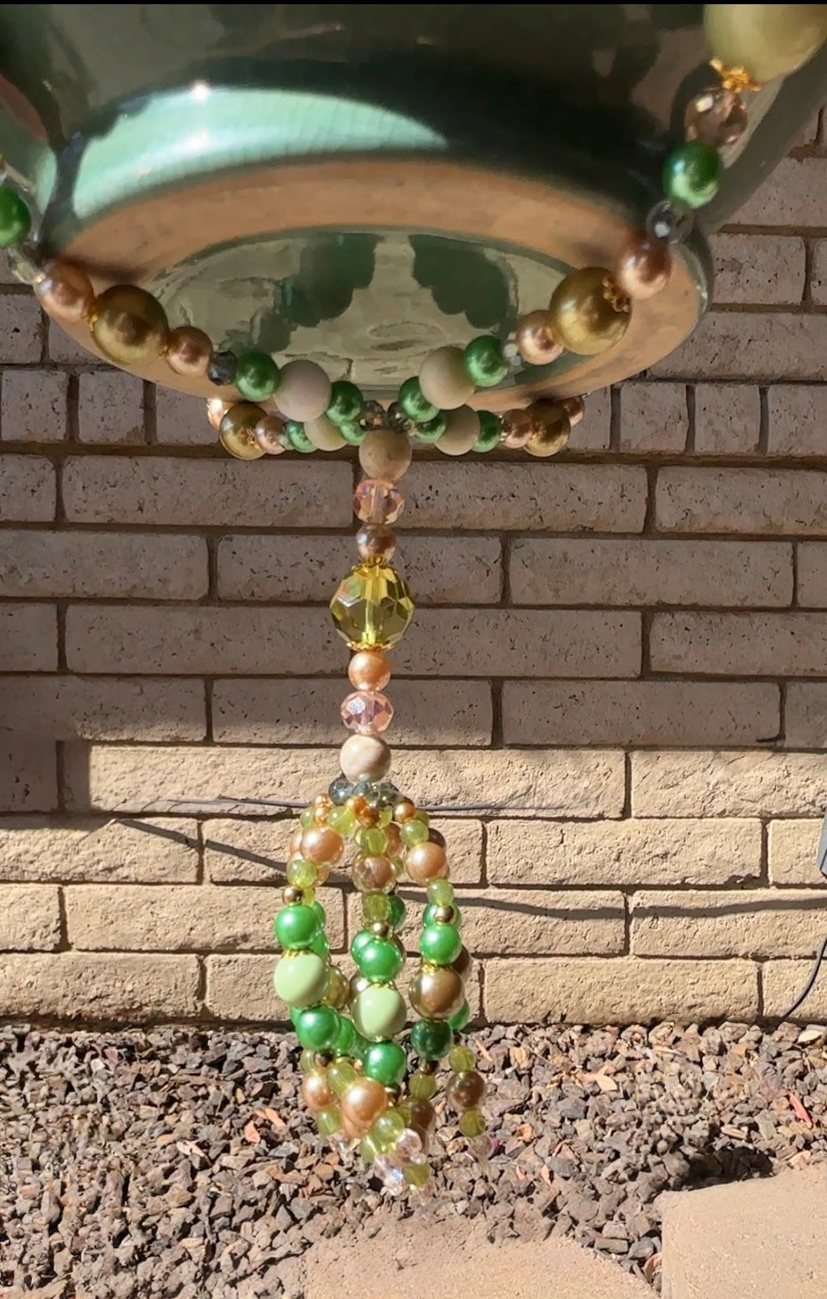 Watching the Leaves Fall