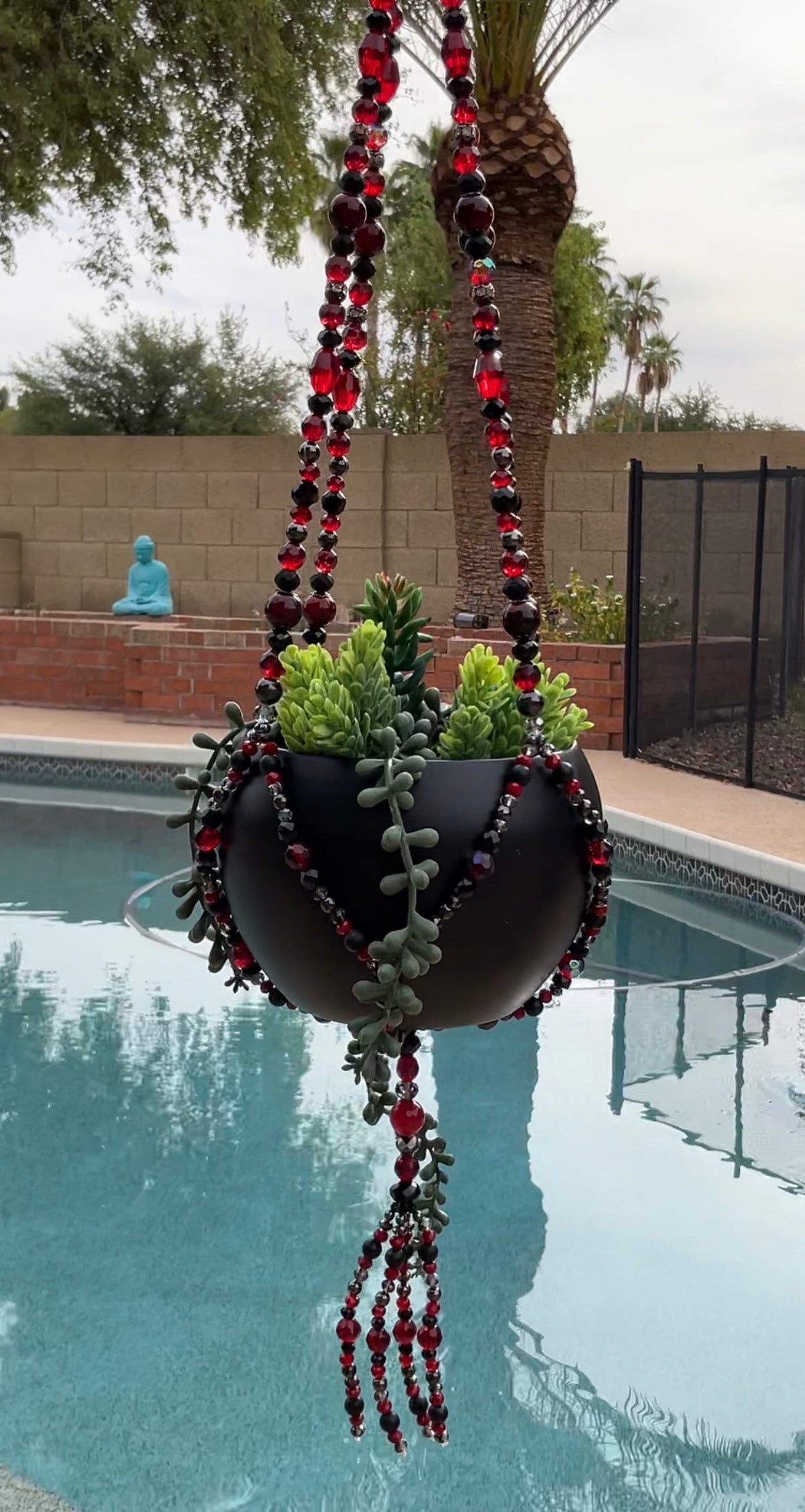 Black Dahlia