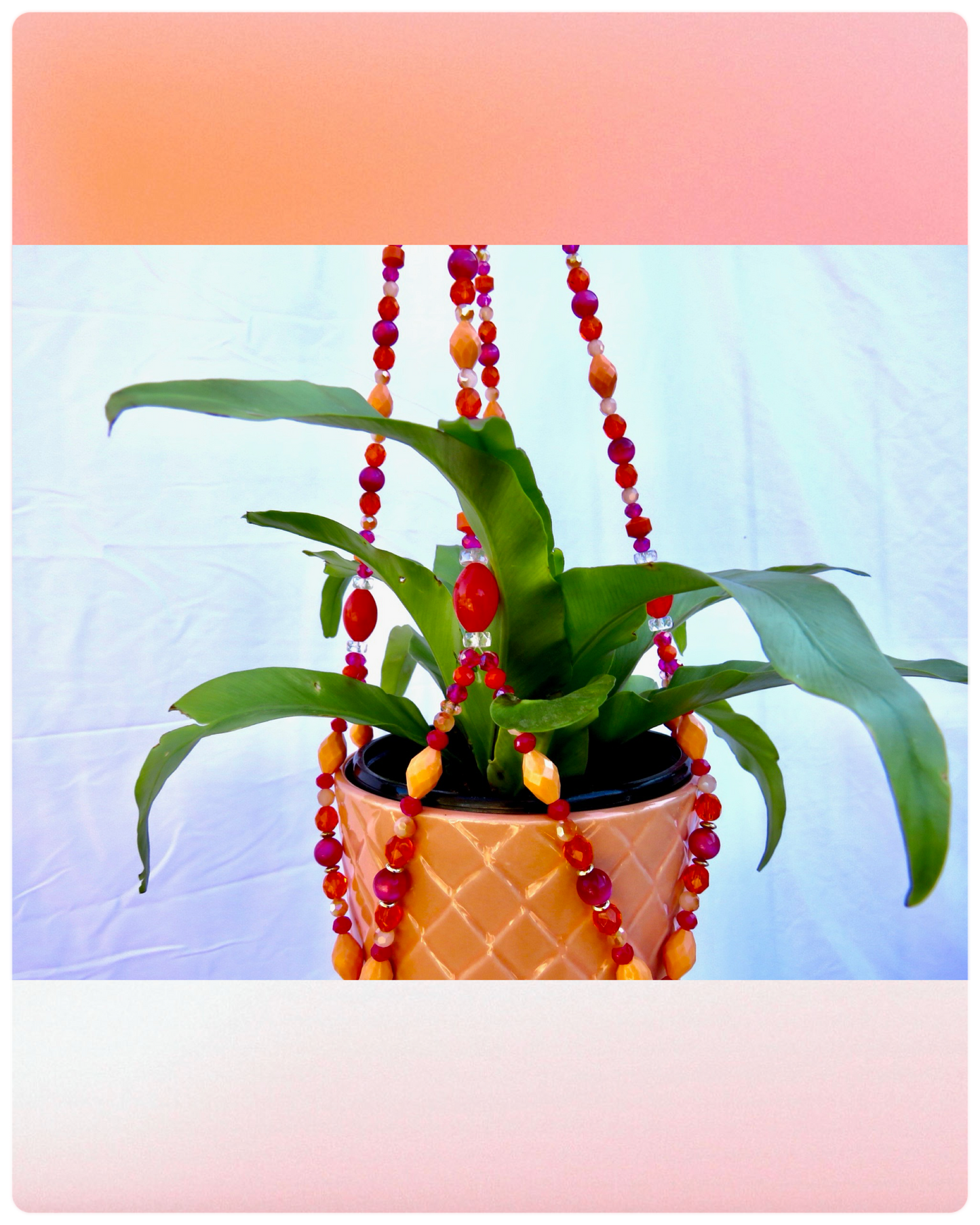 Tropic Like it’s Hott