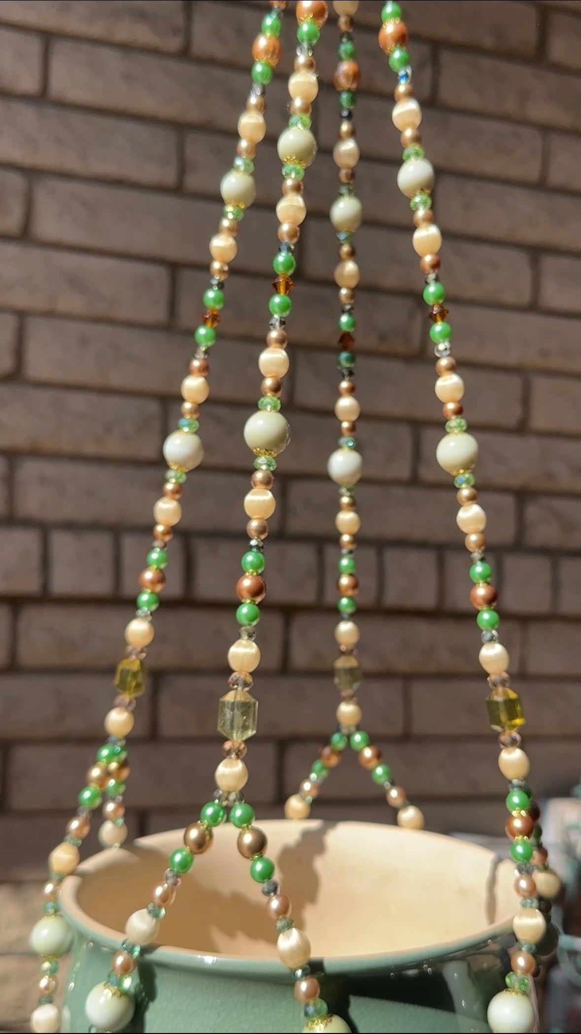 Watching the Leaves Fall