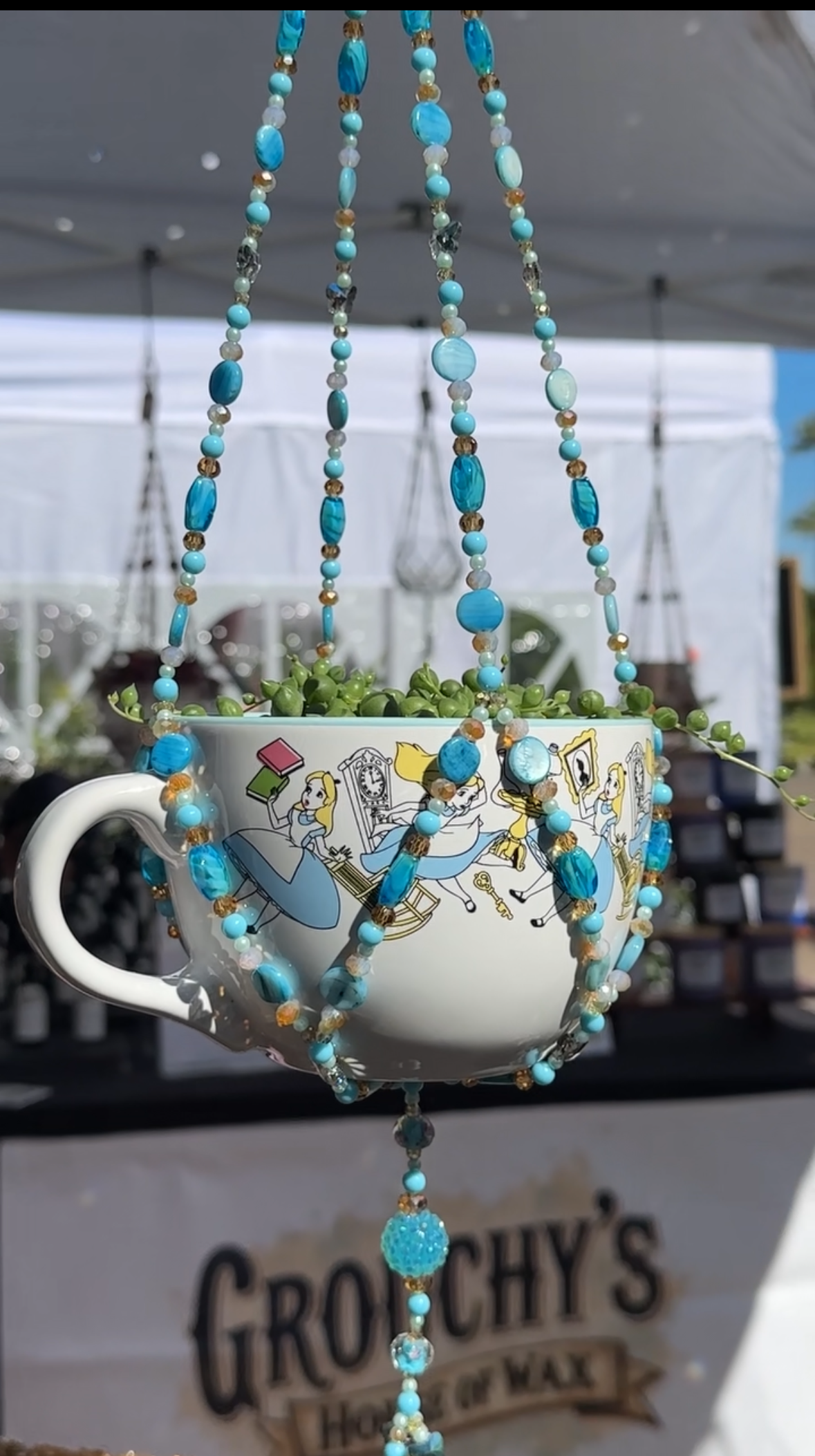 Alice in Wonderbloom