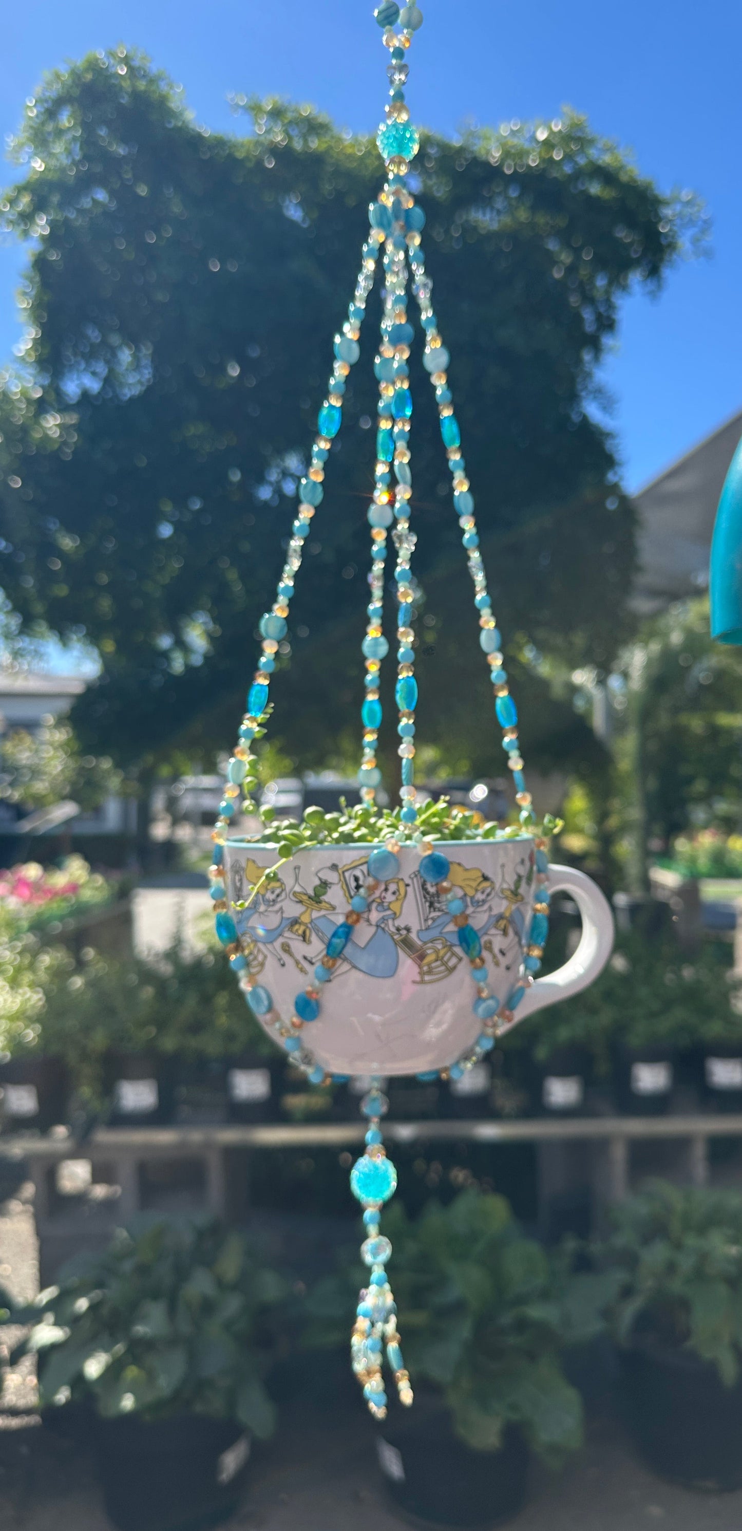 Alice in Wonderbloom
