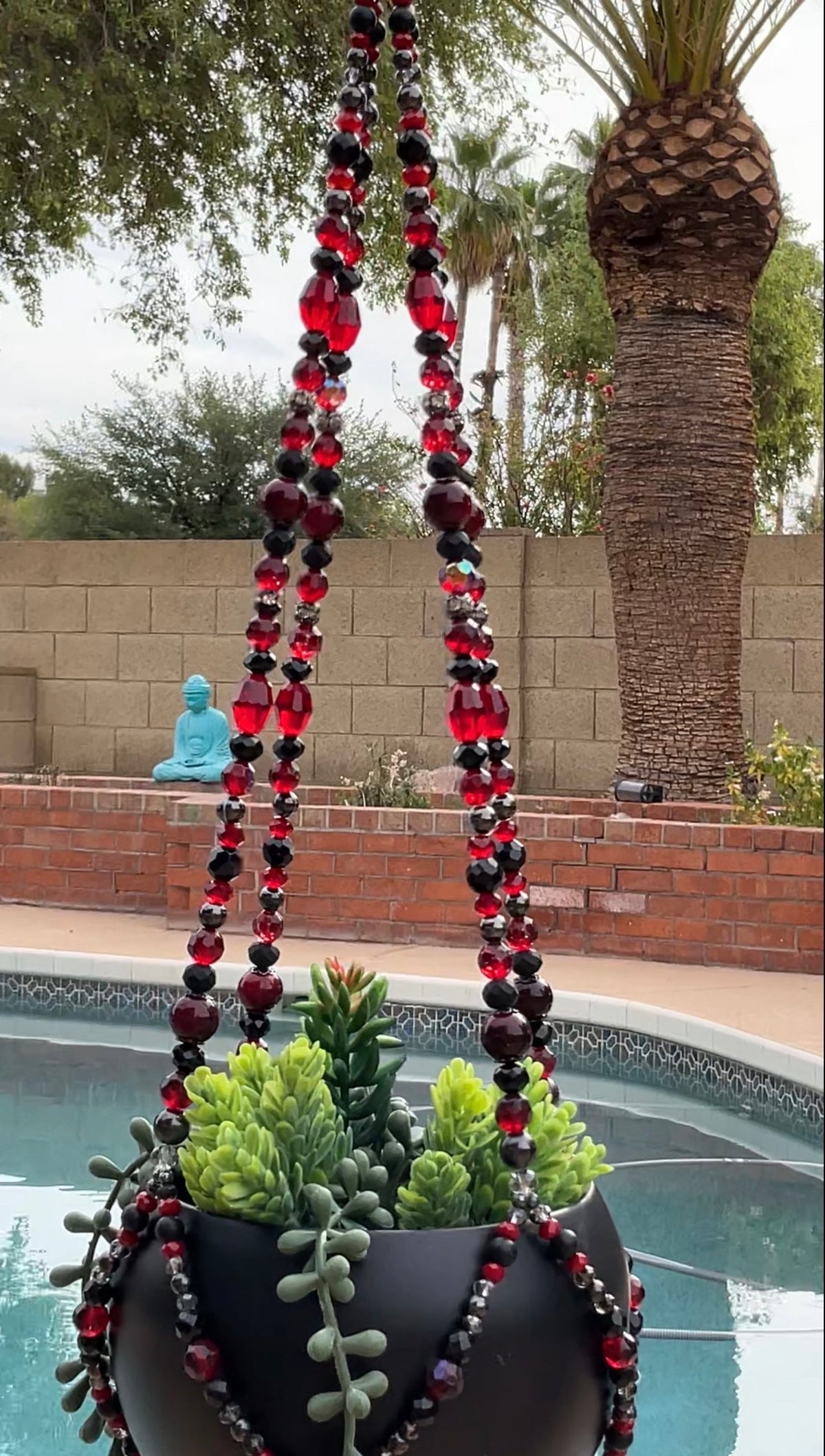Black Dahlia