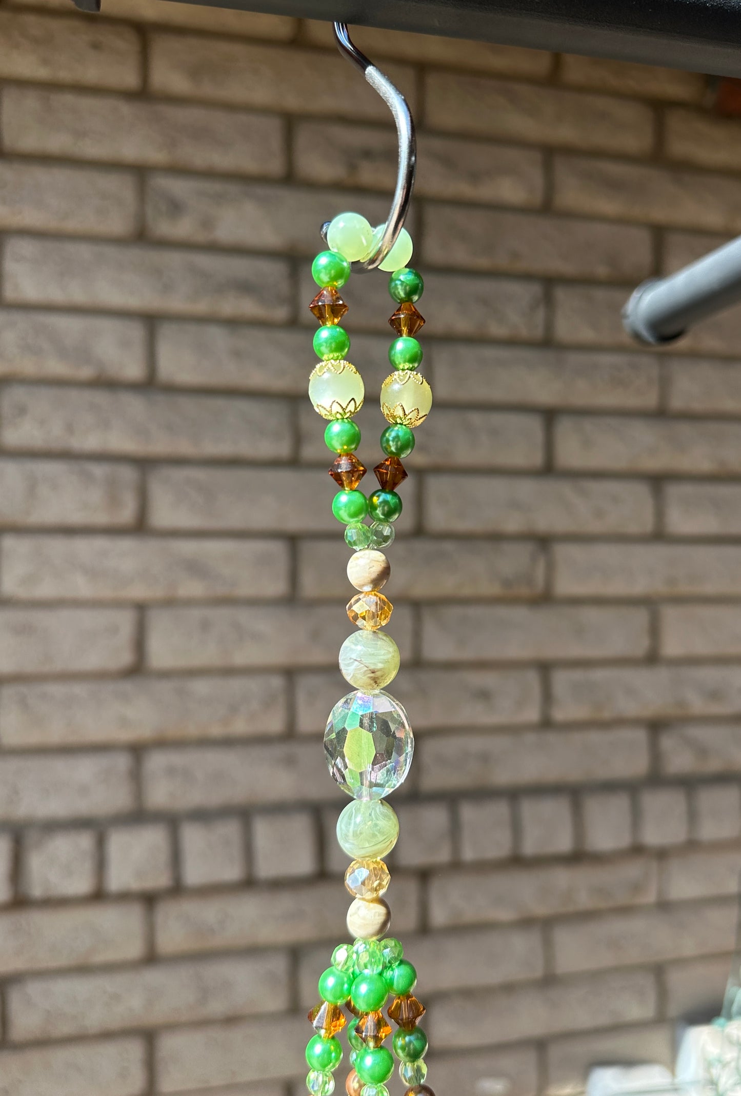 Watching the Leaves Fall