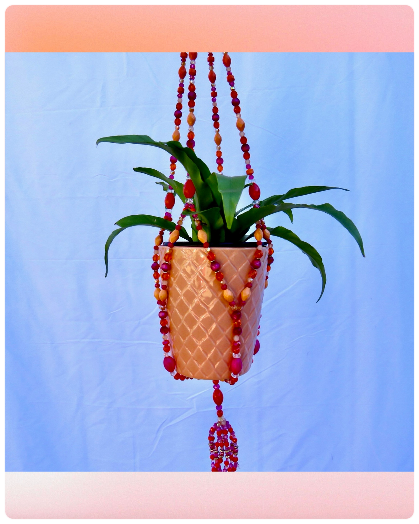 Tropic Like it’s Hott