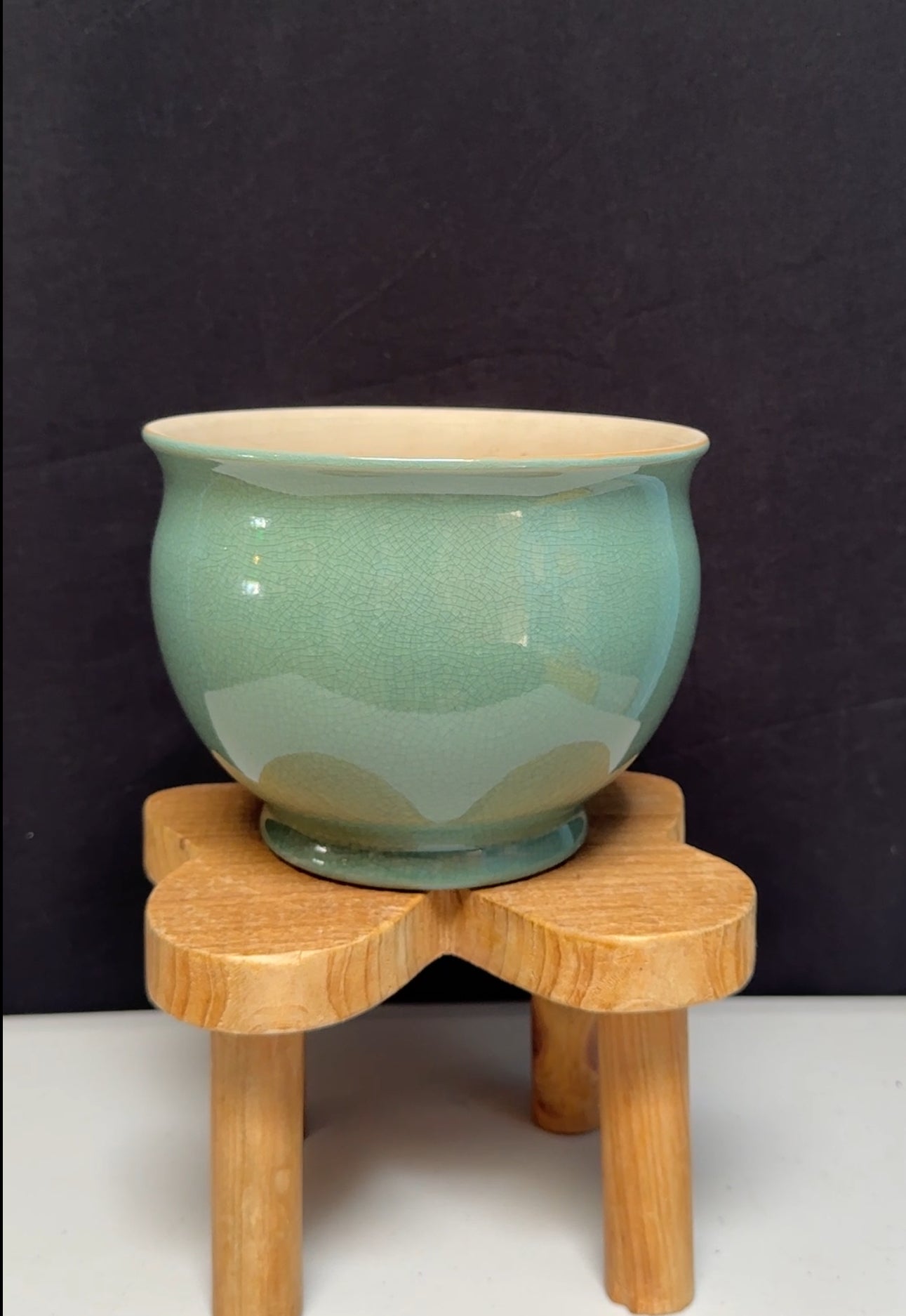 Watching the Leaves Fall