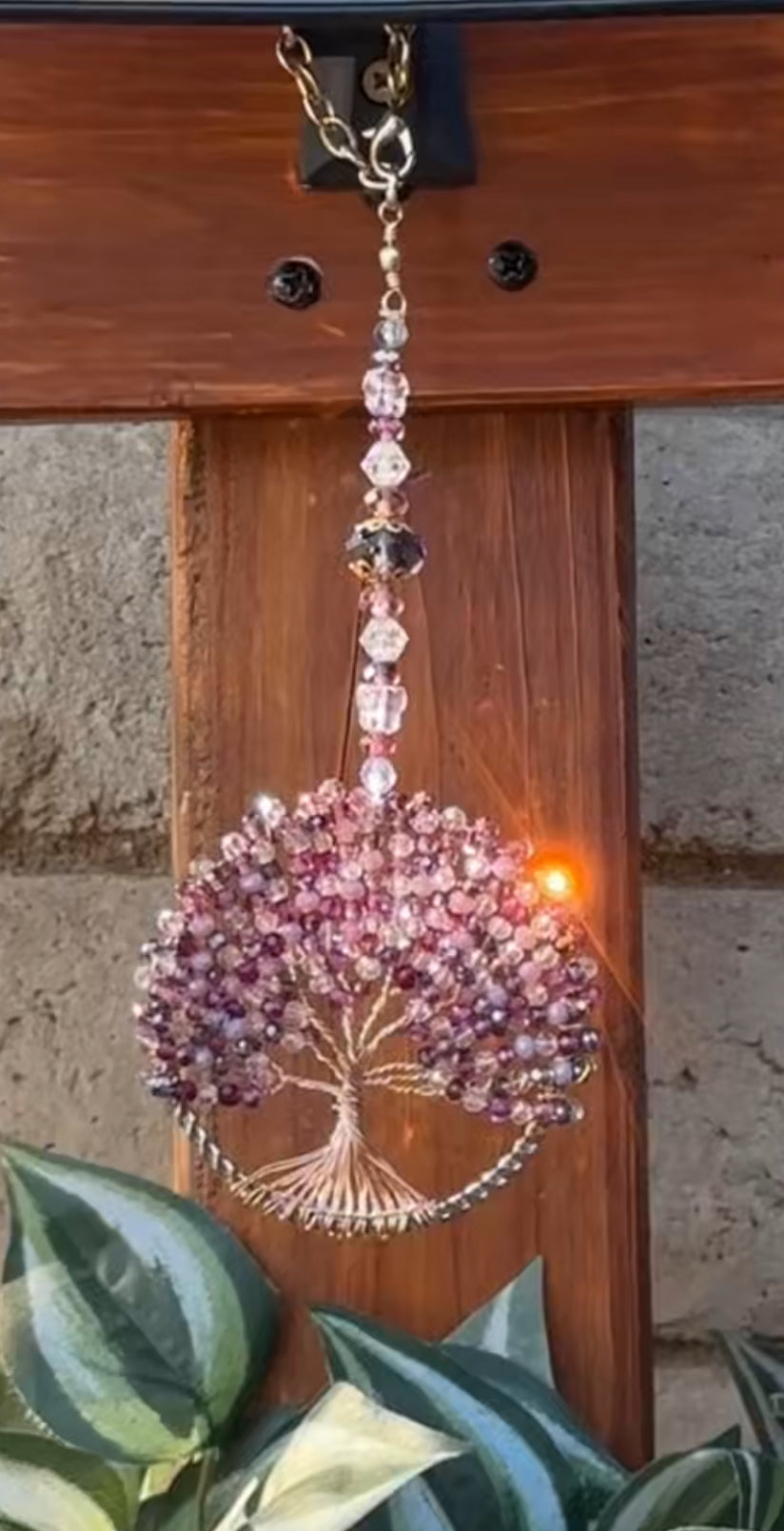 Butterfly Kisses-Tree of Life